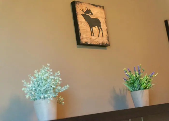 Orlando Apartman