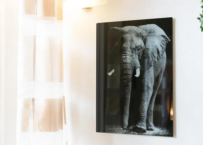 Orlando Apartman *